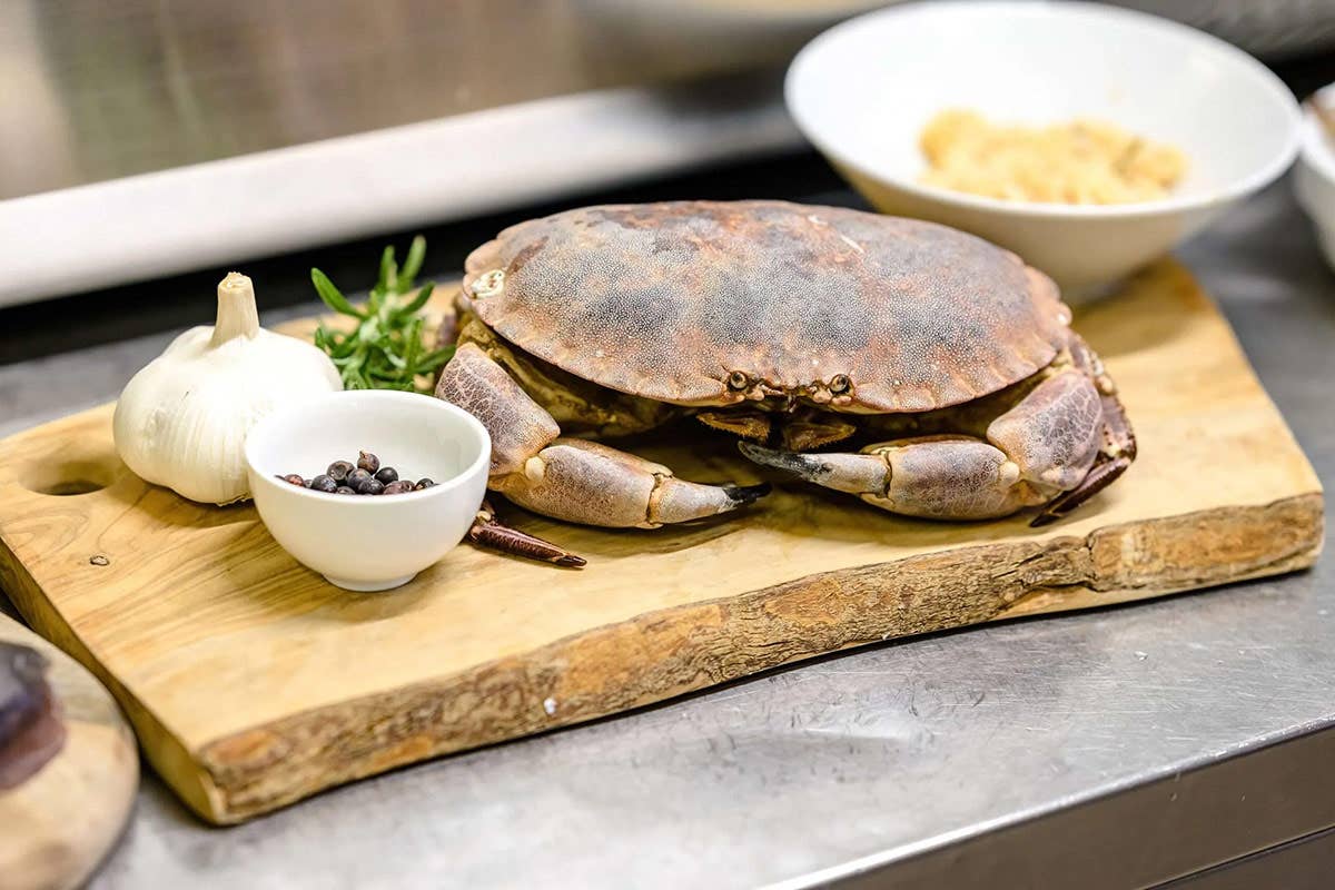 Dove mangiare per le feste nel Triveneto: dai cicchetti alla carbonara di mare